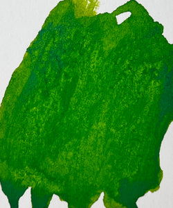 Algae