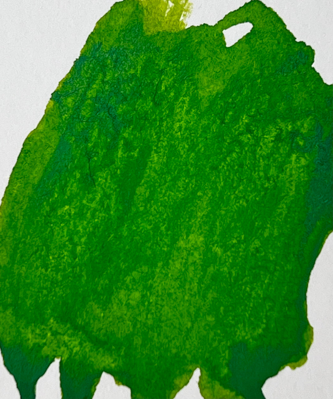 Algae