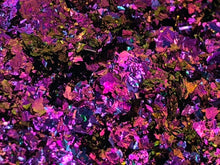 Load image into Gallery viewer, You&#39;re my boy Blue!